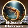 sidoarjoblakraan