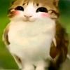 paulewcubks