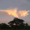luisjrquiones