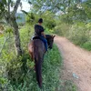 jp._baptista
