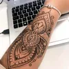 mioaraaugustin