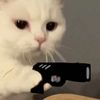 meow07063