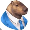 capy_bara_pull_up
