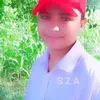 shanshan3688