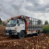 alikhalifeh877