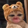 Fuongj 🐰