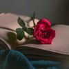 user3305511840410