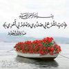hossammohammed0802