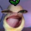 ulramenxxx