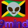 _9mind
