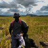 ♠︎Petani Desa🌶🏴‍☠️🇮🇩