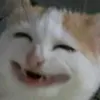 ali.aooda.aooda.a