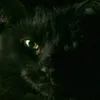 marclaurenceagbil5