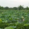 kychuminh