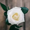 marik.6785