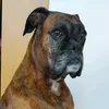 marierhodesbrown