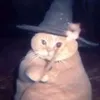 nhiiiiii77