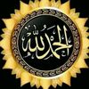 user4493946765077