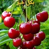 user9361114159847