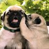 cantstoopthinkingofyou