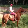 gilvantenrio3