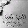 user10961079329354