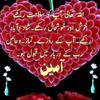 babarhameed73