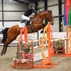 lmw.showjumping