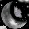 noomoon21