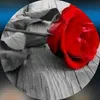 mona_rifia