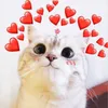 minhhuehynmj