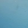 wekia_430