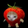melis_901_