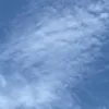 1113356788.fkki