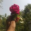 usermd.jihad1234