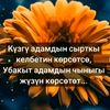 user56511900710321