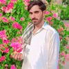 noorabbas43