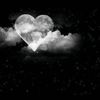 user795526025