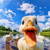 josh_14335