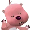 hoagdc_08