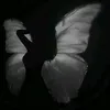 naynayy0111