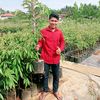 Cahaya bibit