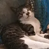 krtzq