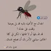 user2940317381176