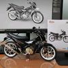radut_new029