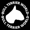 Bull Terrier World