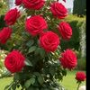 user725610069