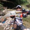 anzar_rinzani785