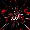 mazharali3056