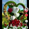 user3118174776358